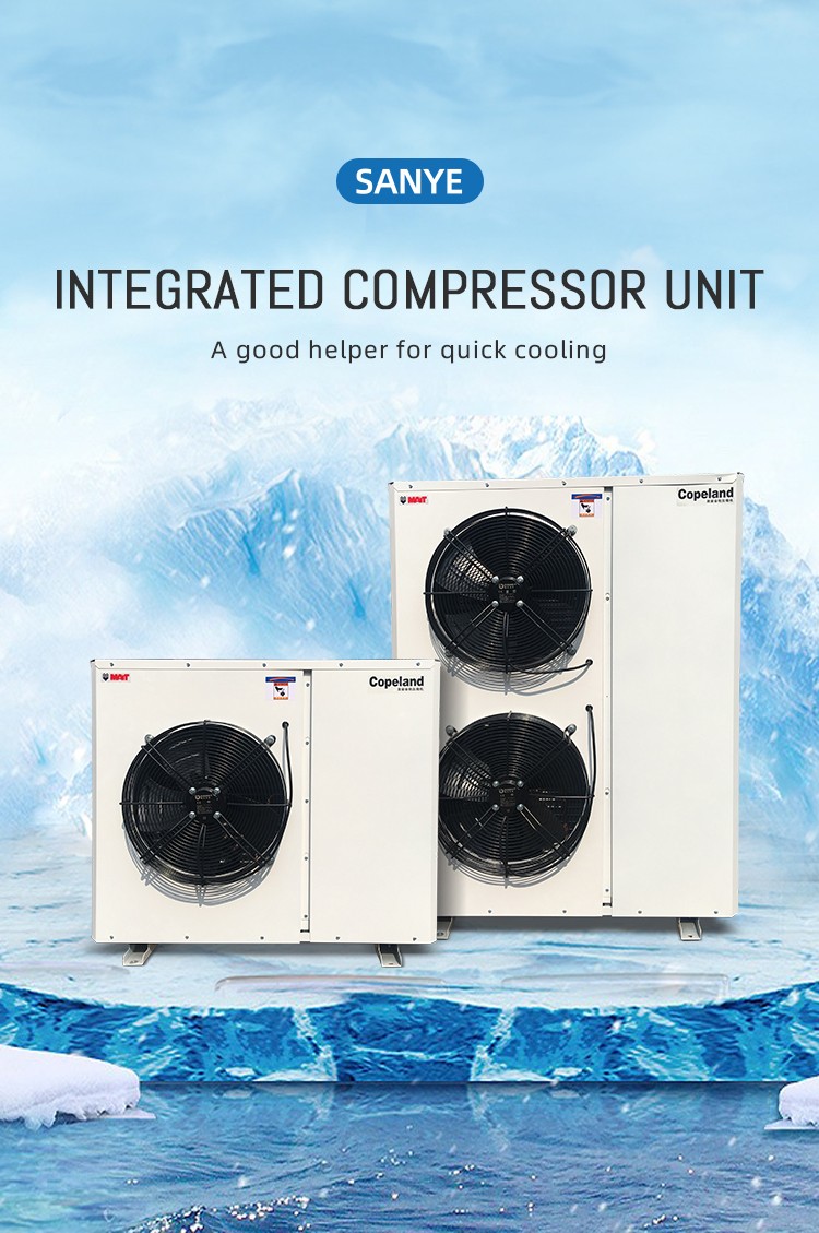 Condensing Unit Series case1