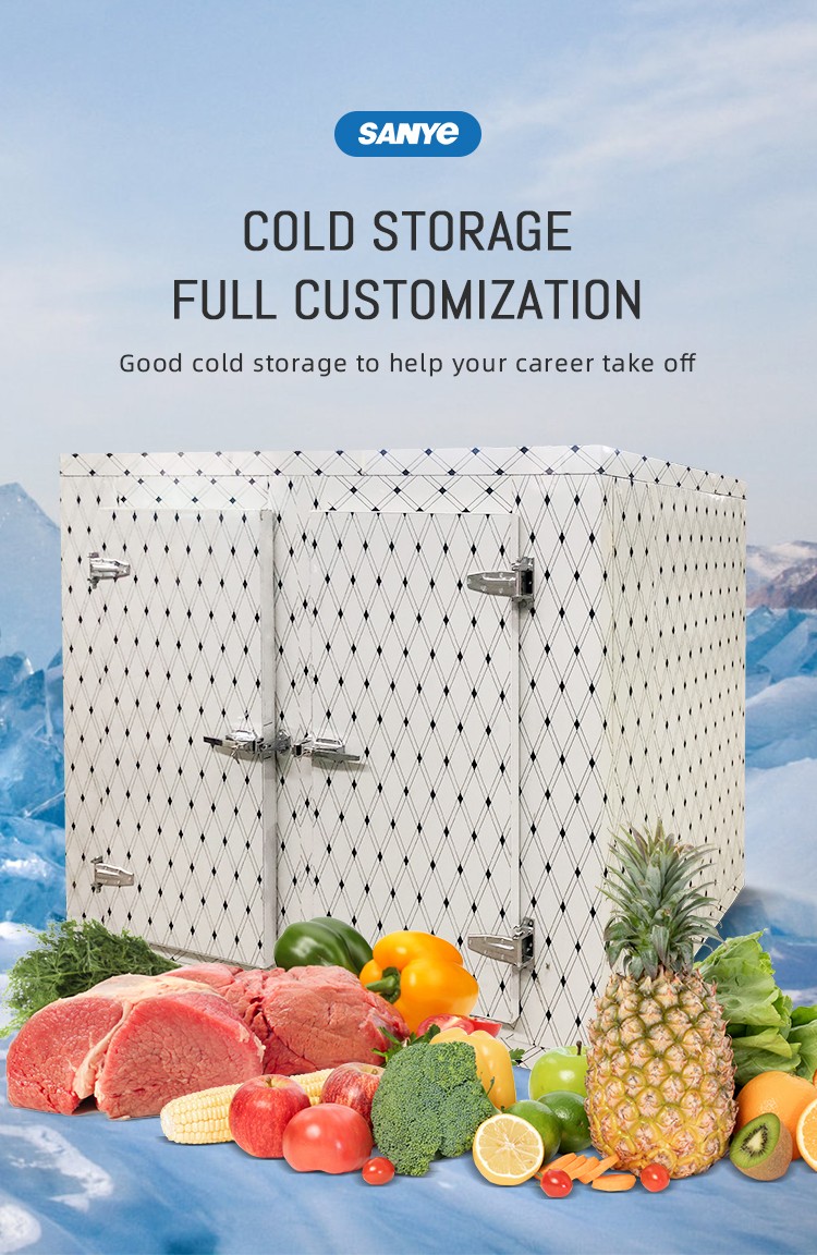 Cold room freezer cold storage room for Ice cube storage vegetables
