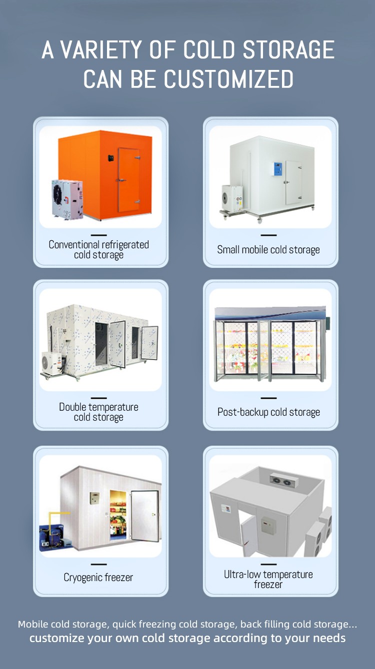 Cold room freezer cold storage room for Ice cube storage vegetables