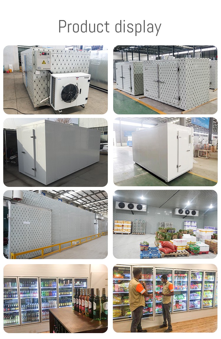 Cold room freezer cold storage room for Ice cube storage vegetables