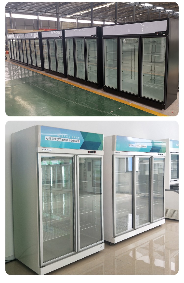 beverage refrigerator Glass door commercial beverage freezer flower display chiller refrigeration equipment