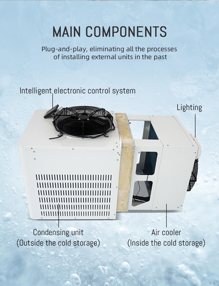 2P  3P  Walk In Cooler Condensing Unit And Evaporator unit cooler for cold storage