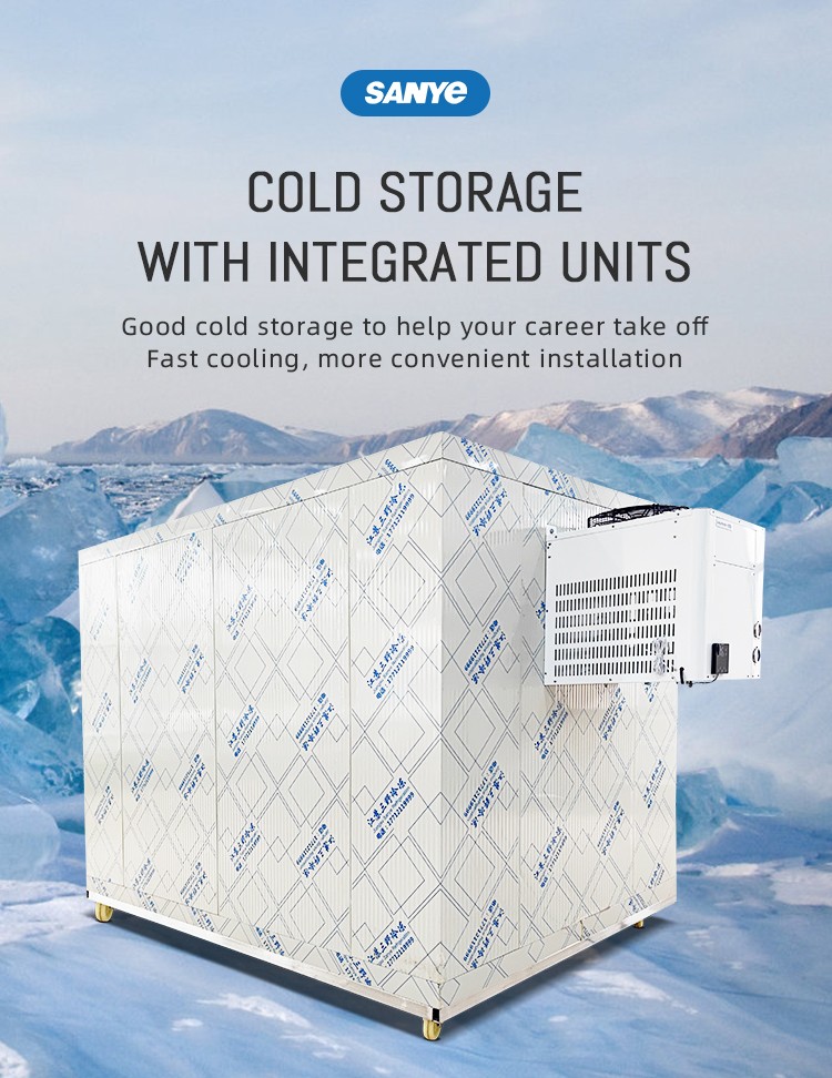 3*2*2.2M cold Room Frozen 2P compressor Insulated Freezer Chicken  fish Cold Storage Room