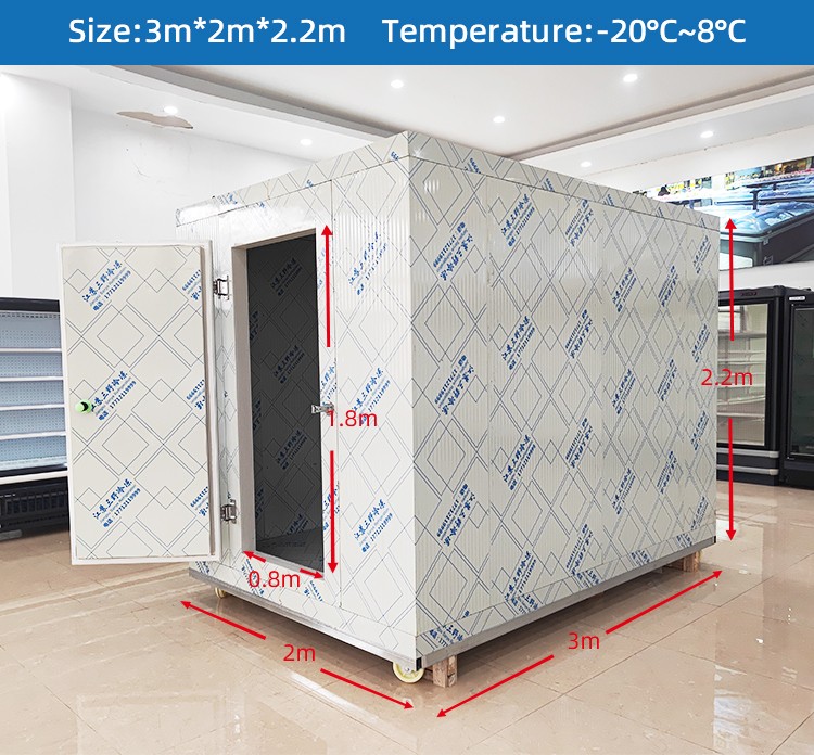 3*2*2.2M cold Room Frozen 2P compressor Insulated Freezer Chicken  fish Cold Storage Room