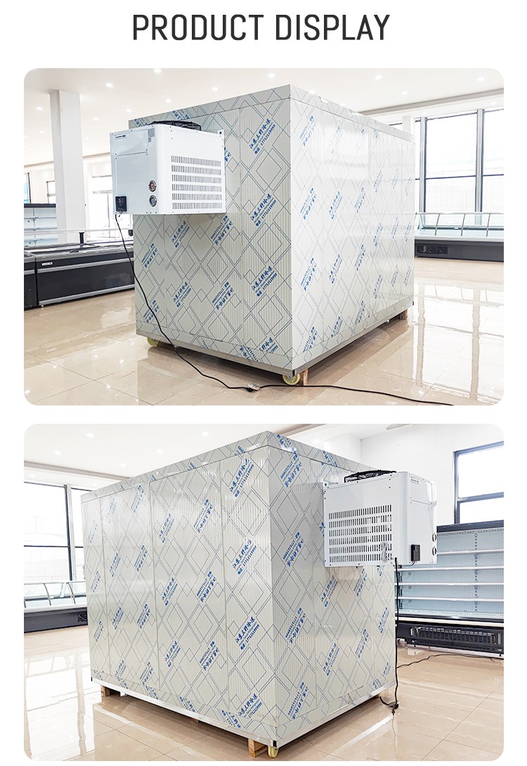 3*2*2.2M cold Room Frozen 2P compressor Insulated Freezer Chicken  fish Cold Storage Room