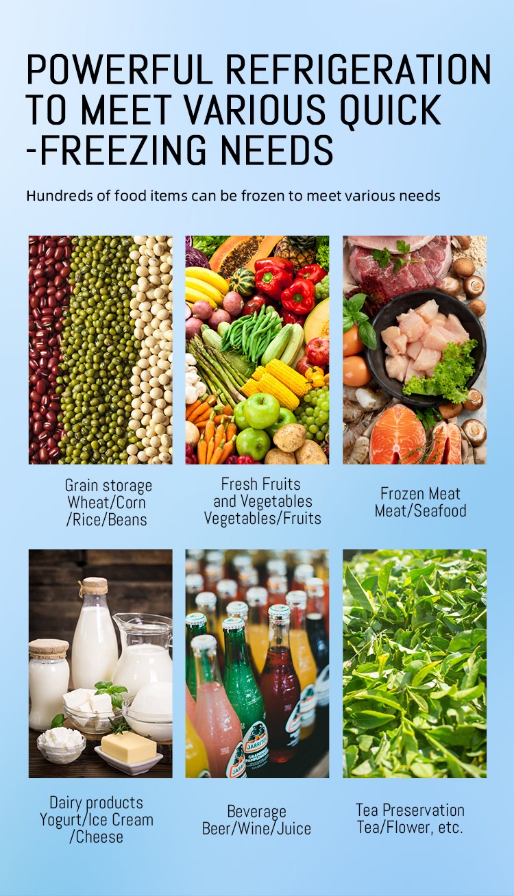 Sanye 20ft and 40ft Power System Container Solar Cold Room Portable Cold Storage for Fish Meat Fruits Vegetables for Sale