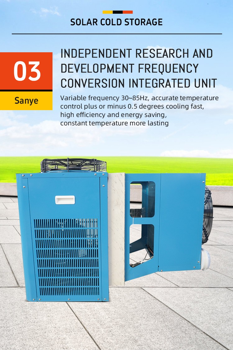 Sanye 20ft and 40ft Power System Container Solar Cold Room Portable Cold Storage for Fish Meat Fruits Vegetables for Sale