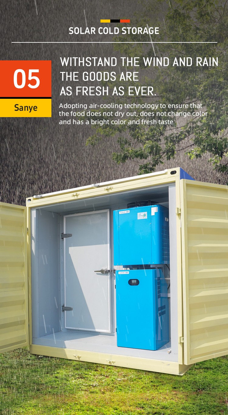 Sanye 20ft and 40ft Power System Container Solar Cold Room Portable Cold Storage for Fish Meat Fruits Vegetables for Sale