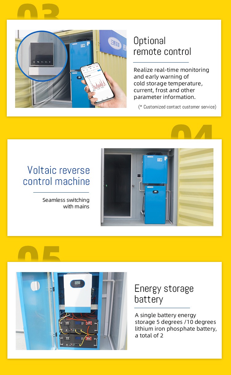 Sanye 20ft and 40ft Power System Container Solar Cold Room Portable Cold Storage for Fish Meat Fruits Vegetables for Sale