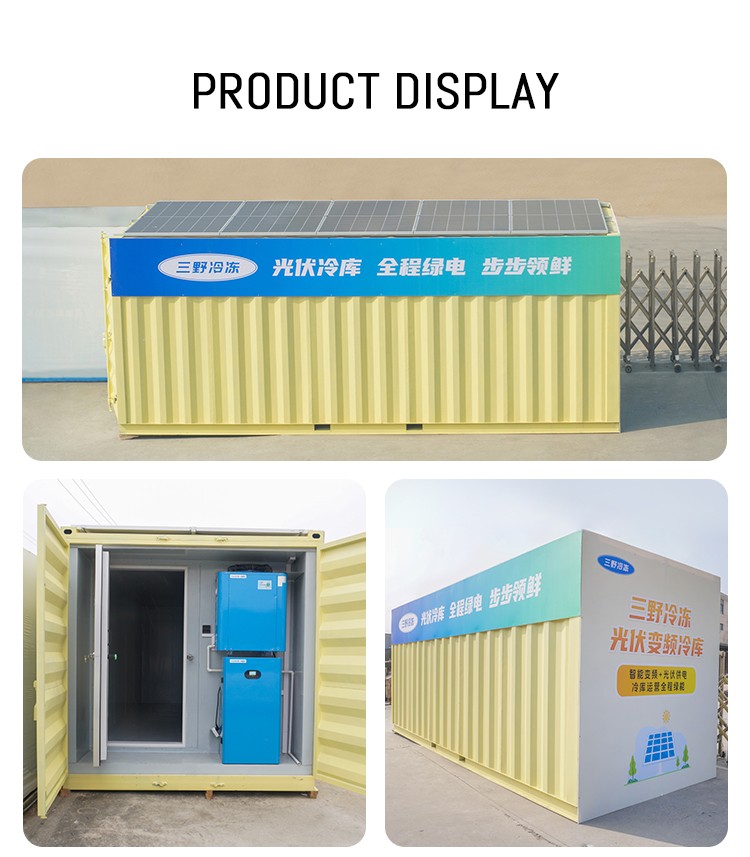 Sanye 20ft and 40ft Power System Container Solar Cold Room Portable Cold Storage for Fish Meat Fruits Vegetables for Sale