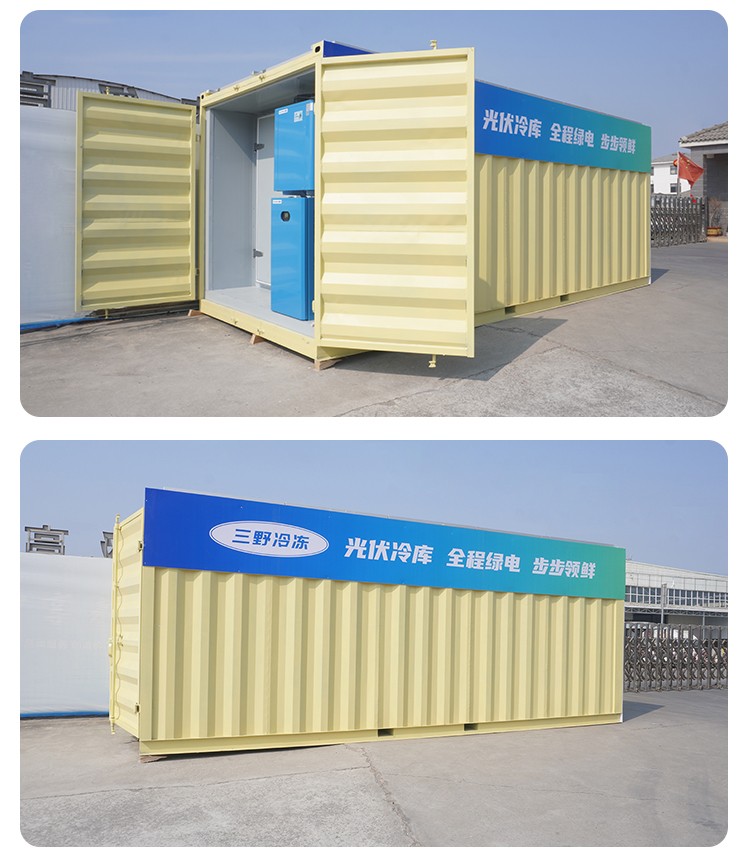 Sanye 20ft and 40ft Power System Container Solar Cold Room Portable Cold Storage for Fish Meat Fruits Vegetables for Sale