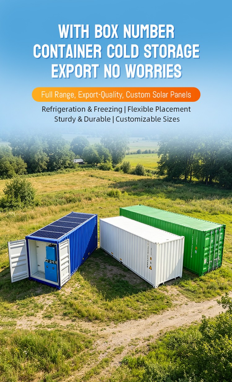 Plug-and-Play Container Cold Storage, Solar-Powered Mobile Cold Room, 20ft/40ft Freezer for Food/Meat/Vegetables