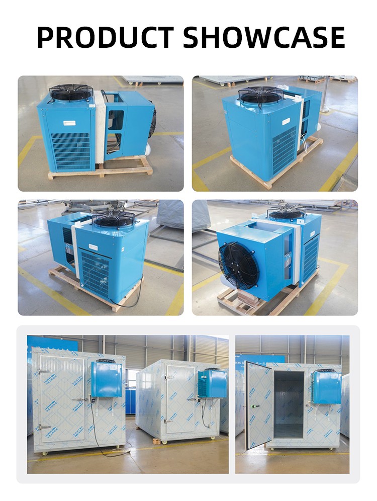 Energy Saving Variable Frequency Monoblock Refrigeration Unit New Frequency Conversion Cold Room Condensing Compressor
