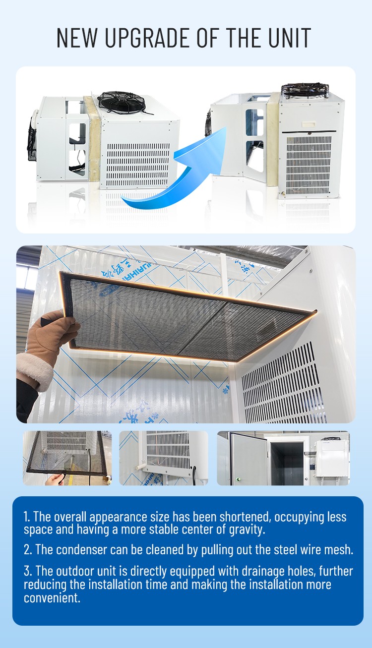3*2*2.2M cold Room Frozen 2HP compressor Insulated Freezer Chicken  fish Cold Storage Room