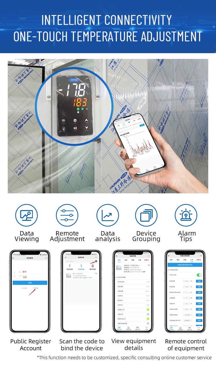 3*2*2.2M cold Room Frozen 2HP compressor Insulated Freezer Chicken  fish Cold Storage Room