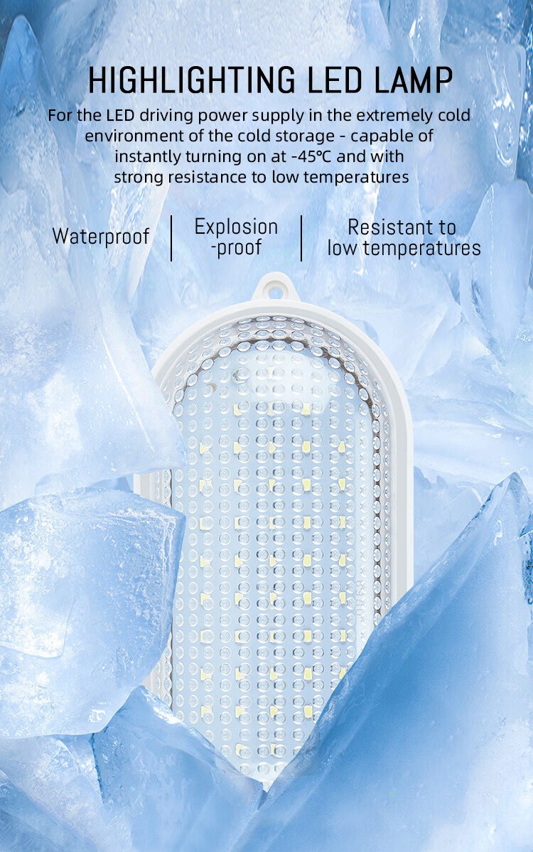 freezing room cold storage 20ft mobile container storage cold room freezer for fish vegetable fruits ice cream walk in freezerRoom Cold Room Refrigeration Unit