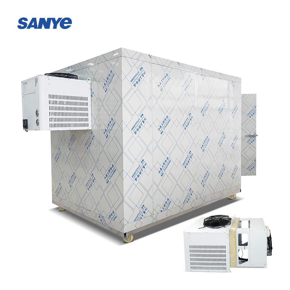 3*2*2.2M cold Room Frozen 2HP compressor Insulated Freezer Chicken  fish Cold Storage Room