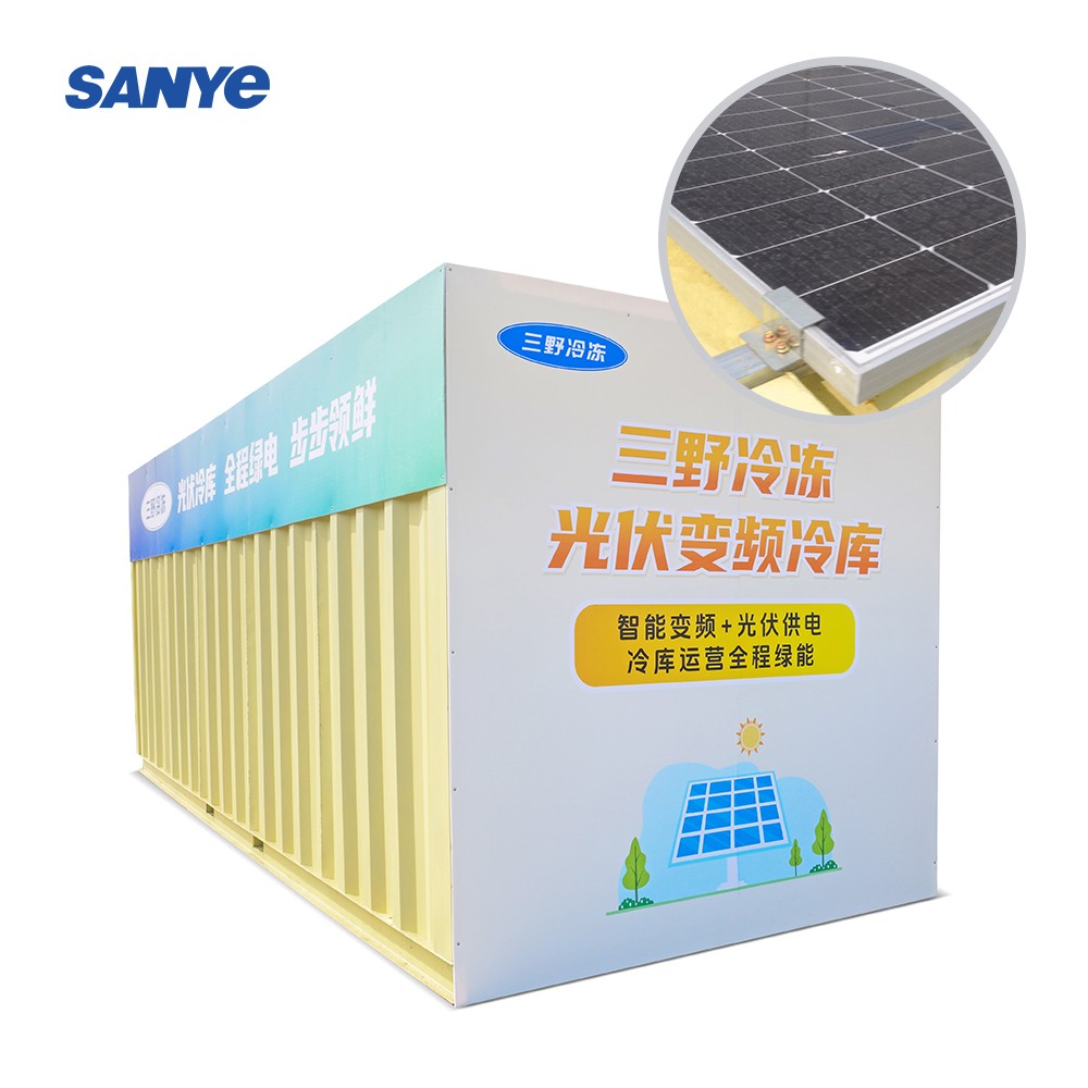 Sanye 20ft and 40ft Power System Container Solar Cold Room Portable Cold Storage for Fish Meat Fruits Vegetables for Sale