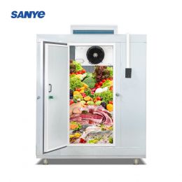 SANYE Eco-Friendly Container-Type Cold Storage Facility Top-Mounted Integrated Units for Restaurants Hotels R404a/R22