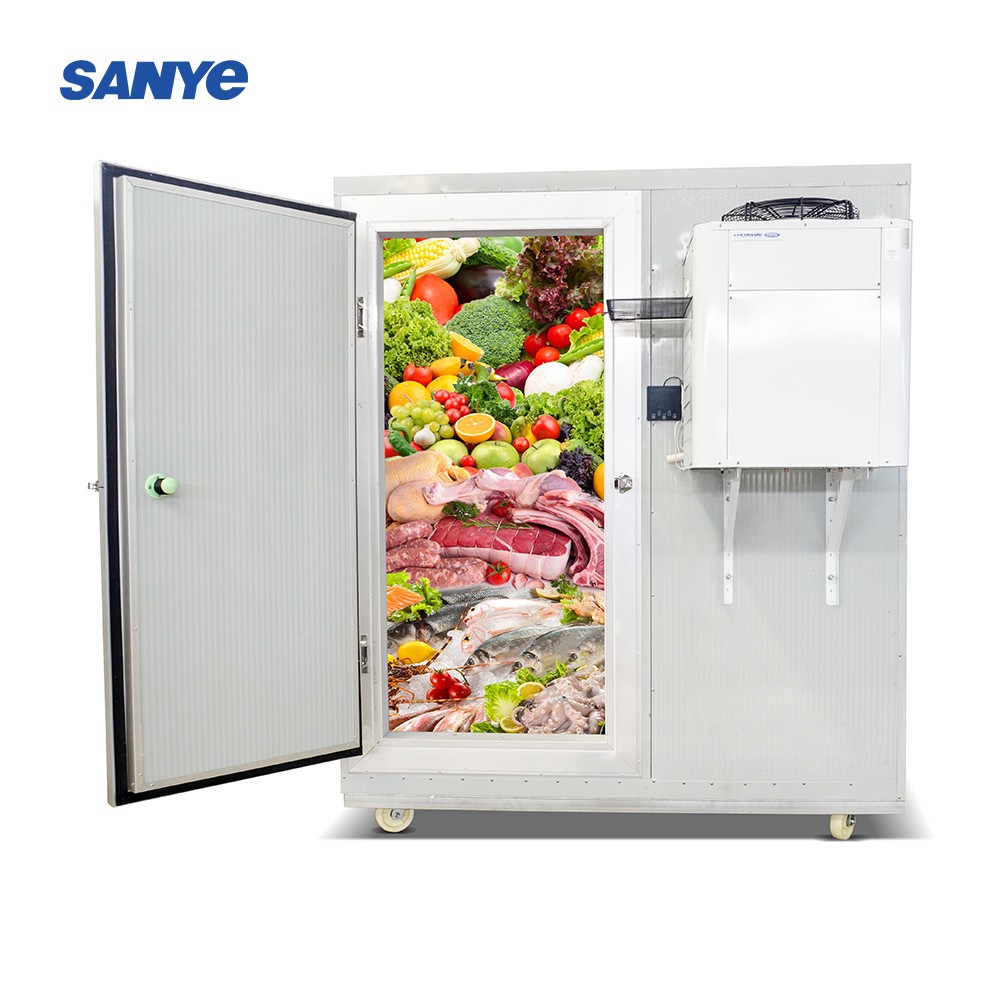  Cold Room Manufacturer Walk in Freezer Room Storage for Fish