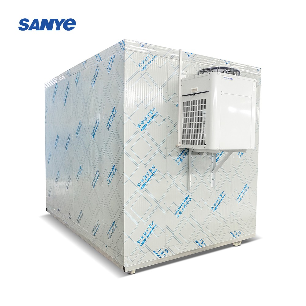 3*2*2.2M cold Room Frozen 2HP compressor Insulated Freezer Chicken  fish Cold Storage Room